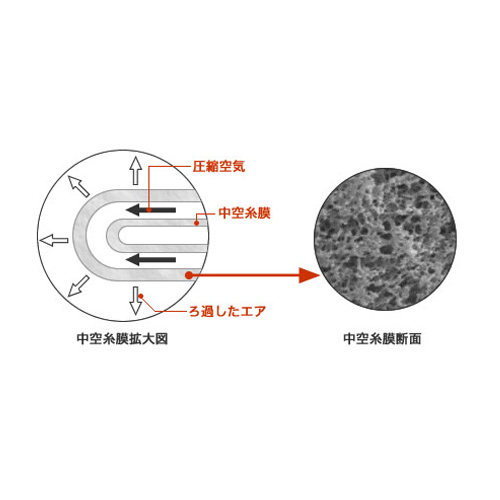 中空糸膜拡大図