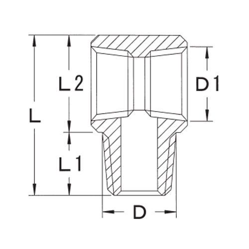 D：R1/8”　　　D1：Rc1/8”\nL：22mm　　　L1：8mm　　　L2：14mm
