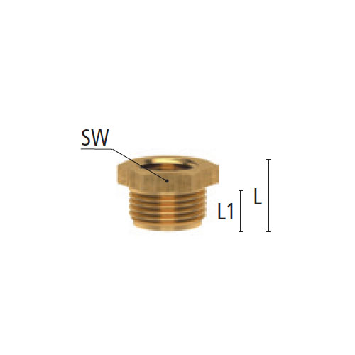L：13mm　　　L1：9mm　　　SW：17mm