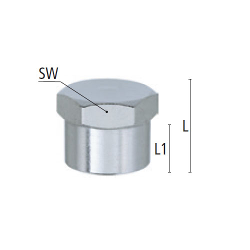 L：15.5mm　　　　L1：11mm　　　　SW：22mm