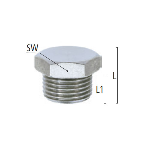 L：15.5mm　　　　L1：10mm　　　　SW：24mm