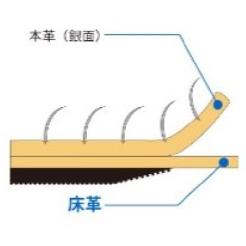 床革は銀面を取り除いた牛原皮の下層部分です。