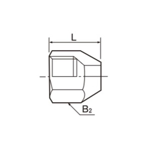 L：22mm　　　　B2：19mm