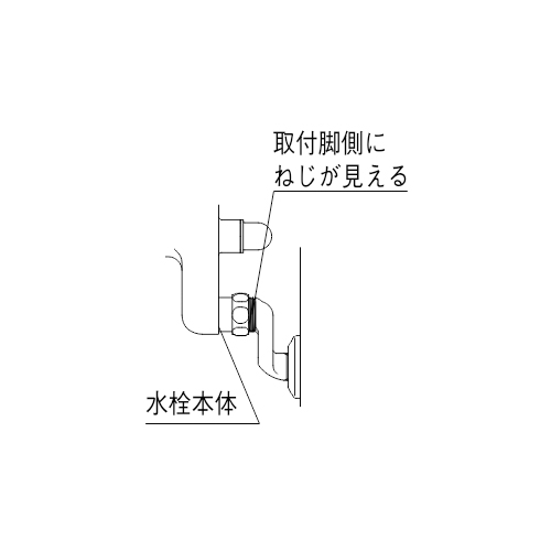 見分け方のポイント