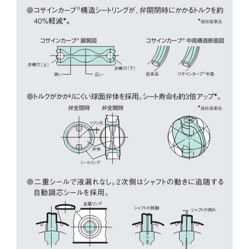 特長