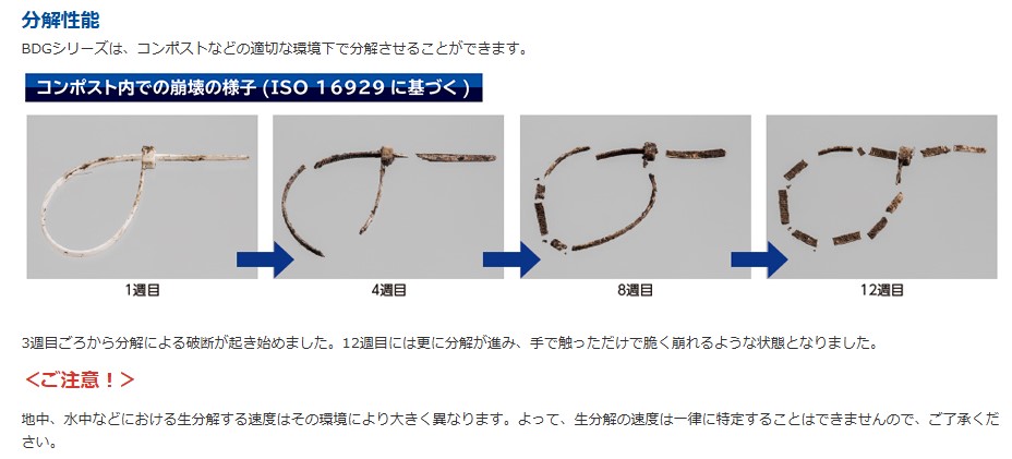単位（mm）
