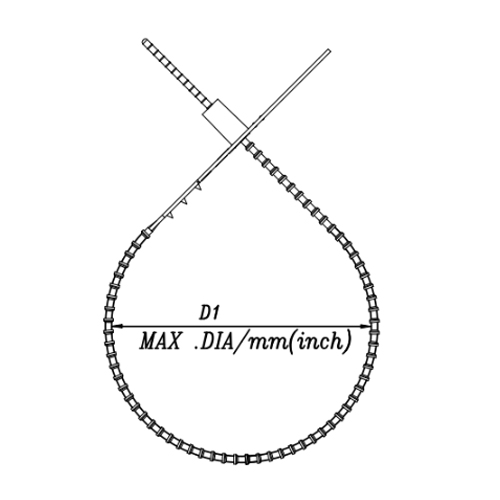 D1：54mm