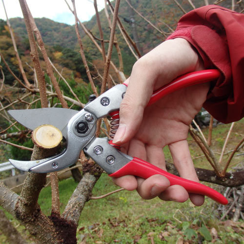 抵抗の少ない薄い刃で、太めの枝もラクに切れます。