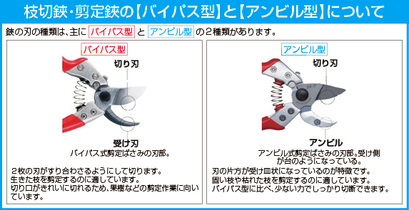 商品はアンビル型