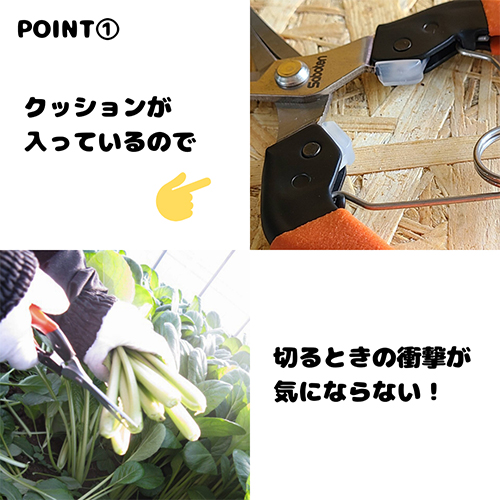 ※画像は代表画像です