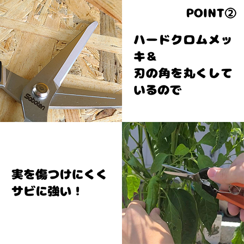 ※画像は代表画像です
