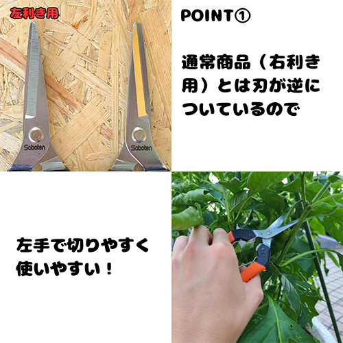 ※画像は代表画像です