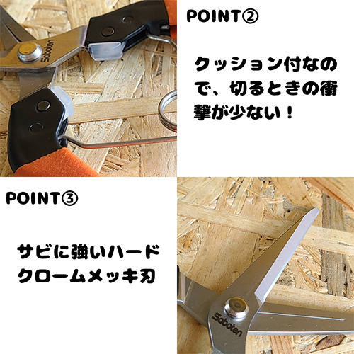 ※画像は代表画像です