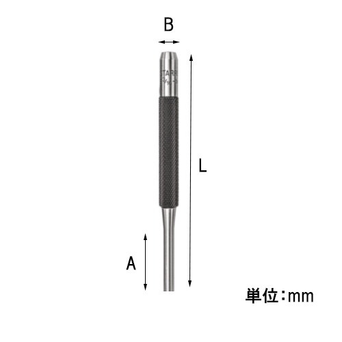 L：100mm　　A：22mm　　B：7mm
