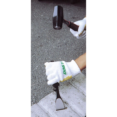 ※画像は代表画像です。