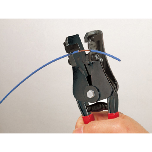 ※代表画像です。