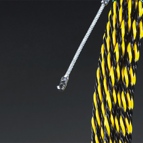 ガイドワイヤー付きリード