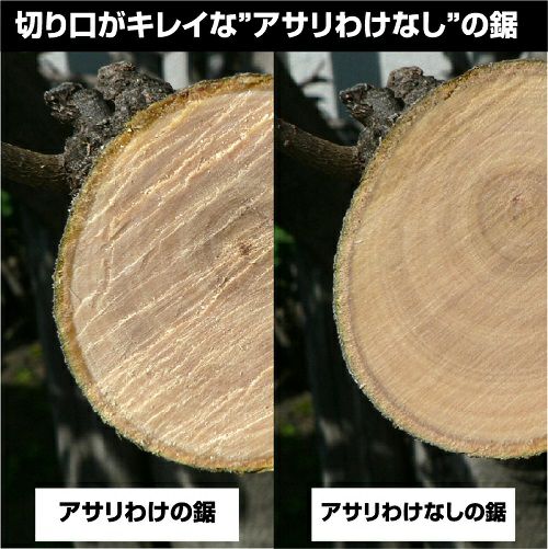 アサリわけなし