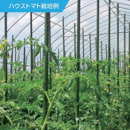 ※本品は黒色です。
