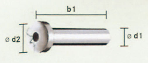 b1：29mm、d1：6mm、d2：10mm