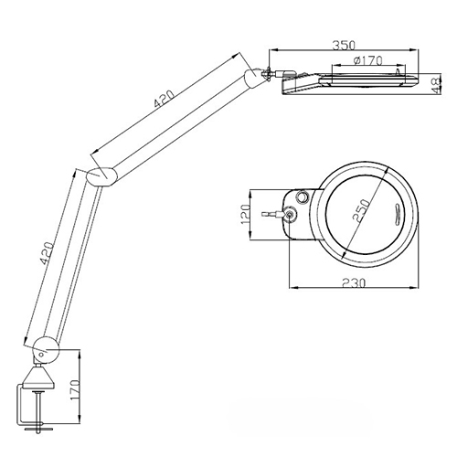 本体（単位：mm）