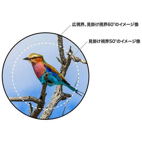 開放感のある視界が得られる広視界タイプ
