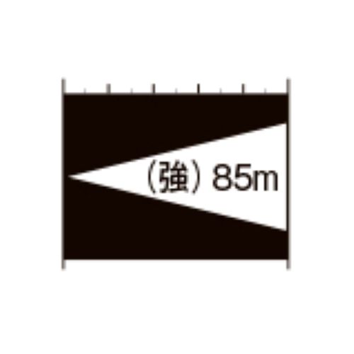 照射距離