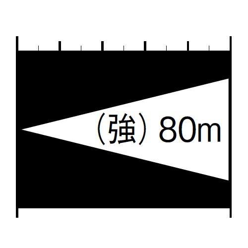 照射距離