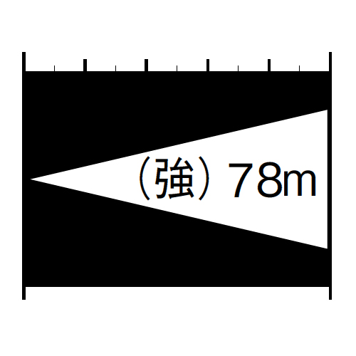 照射距離
