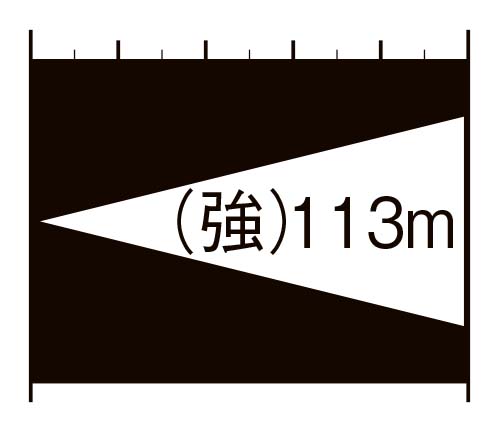 照射距離