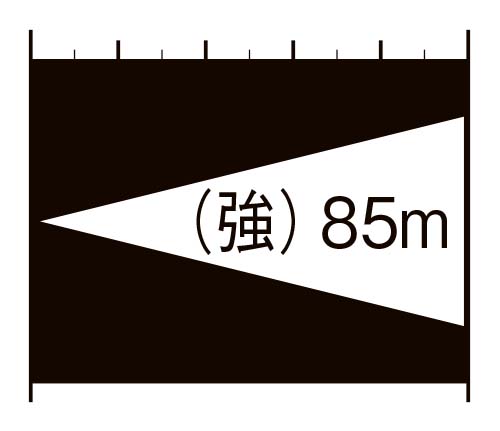 照射距離