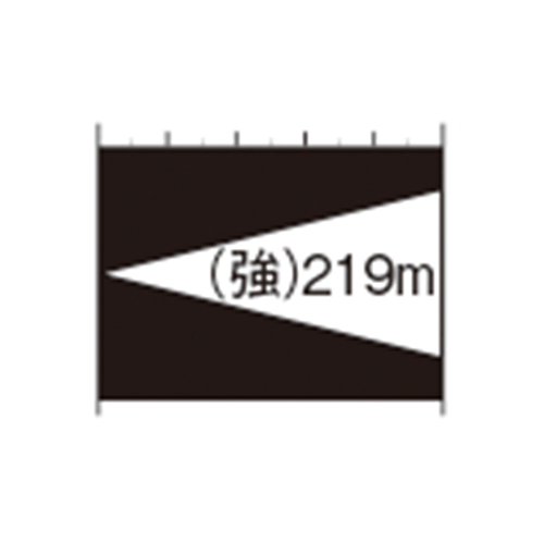 照射距離