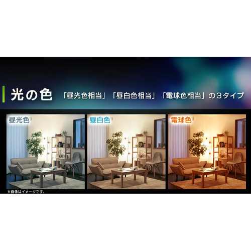 ※当商品は昼白色です。