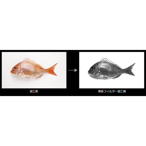 「魚拓フィルター」