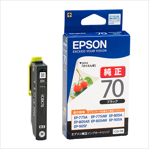 EPSON ICBK