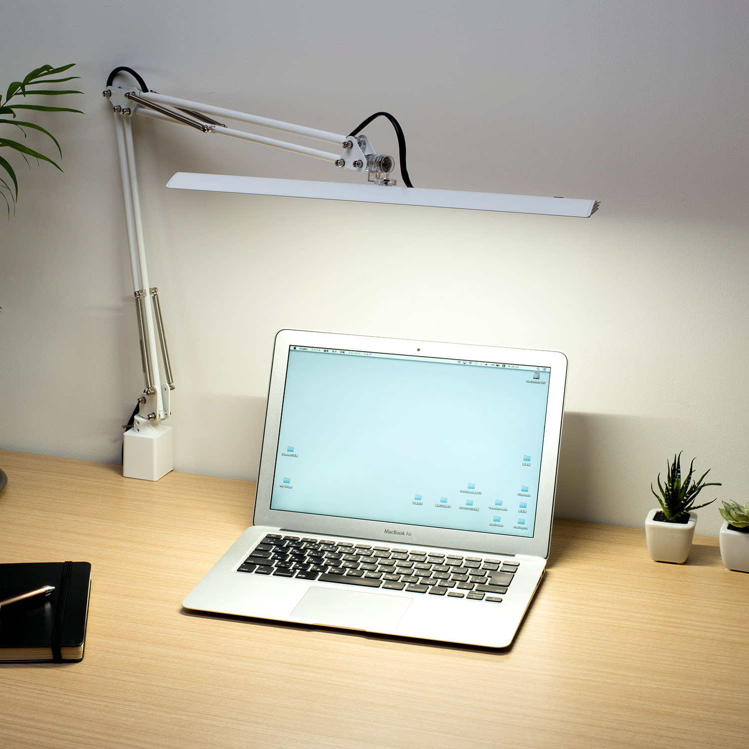 ※画像は代表画像です