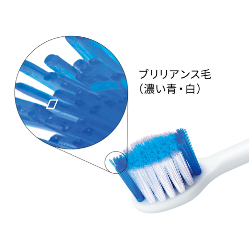 ひし形断面の毛を持つクリーン＆ホワイトブラシが、歯面の歯垢・ステインを除去