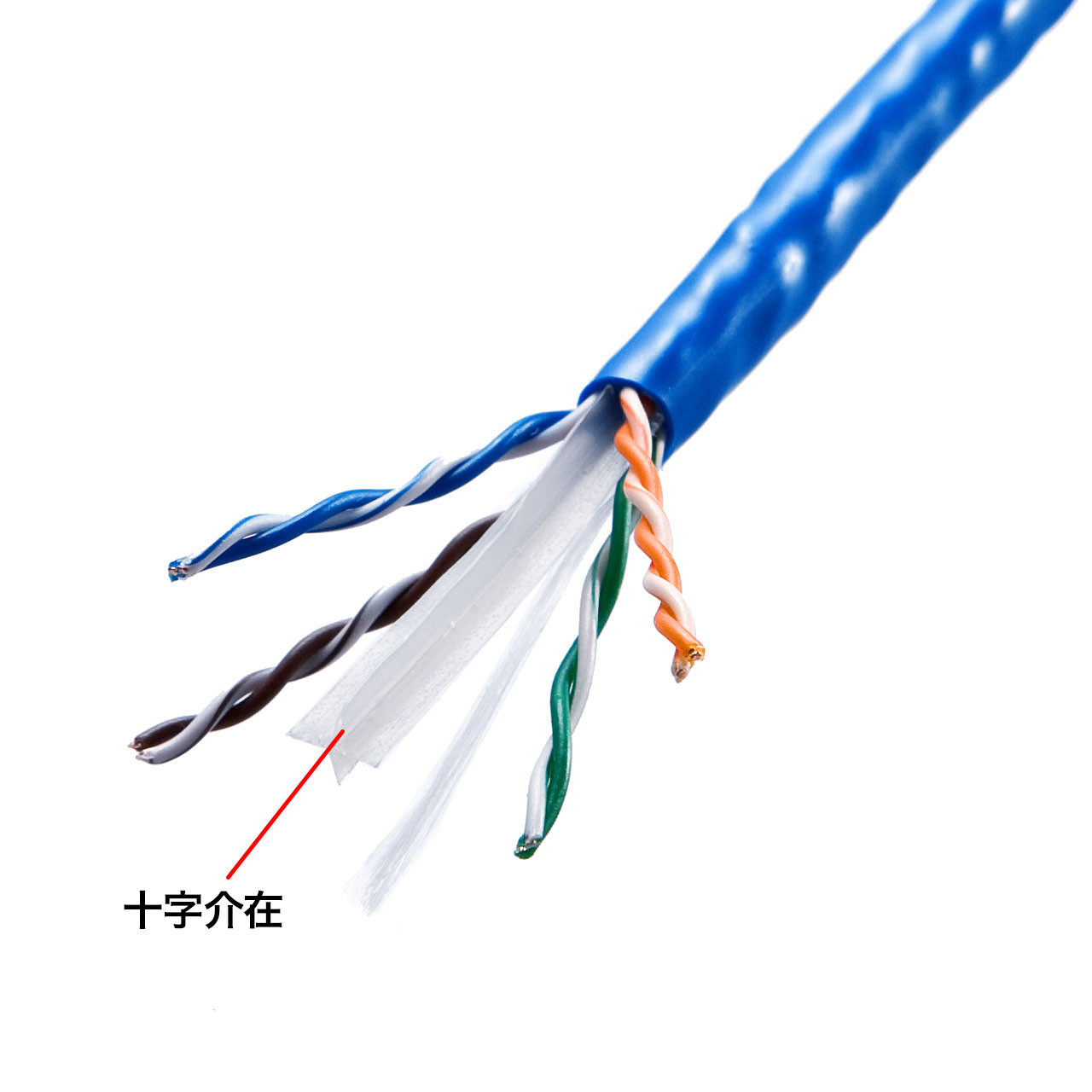 クーポン利用で2750円送料無料 エスコ 100m LANケーブル CAT6/UTP/白 EA764BB-401 エスコ ESCO 