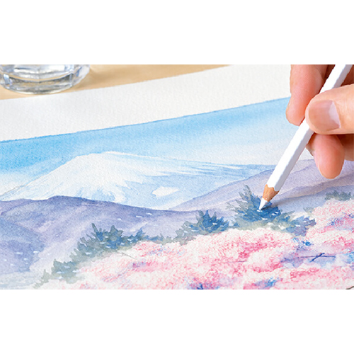 色鉛筆と水彩画のタッチを同時に表現