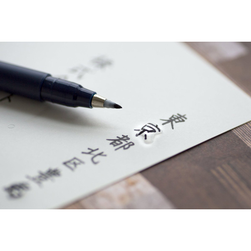 耐水・耐光性水性顔料インク