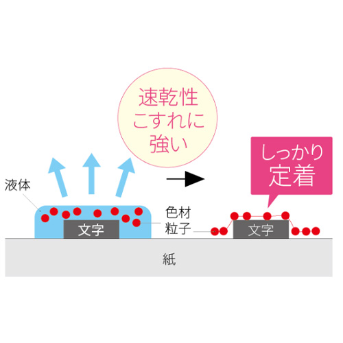 新開発！インク乾燥時間を３分の１以下に短縮した「Ｑ－Ｄｒｙ(クイックドライ)インク」