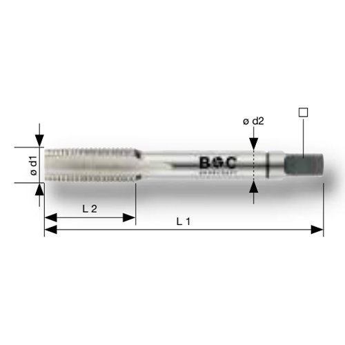 d1：G1.1/4”×11　　d2：φ40mm\nL1：125mm　　L2：40mm　　■：24mm