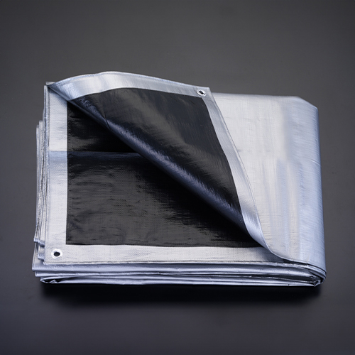 ※画像は代表画像です