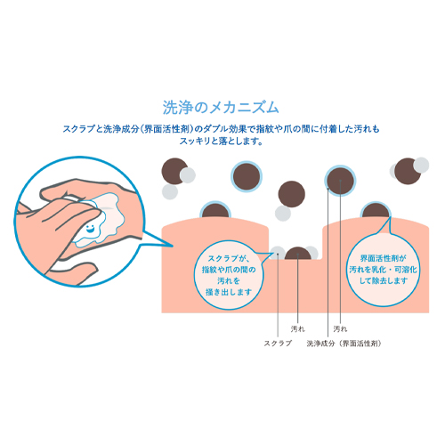洗浄のメカニズム