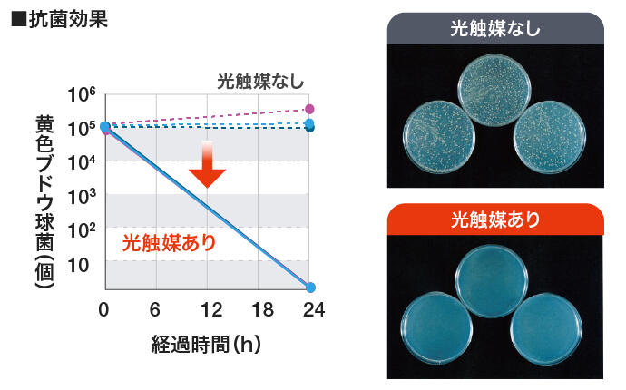 抗菌・抗ウイルス効果\nヒドロキシラジカルは攻撃性が高いため、菌の繁殖を抑制する効果もあります。