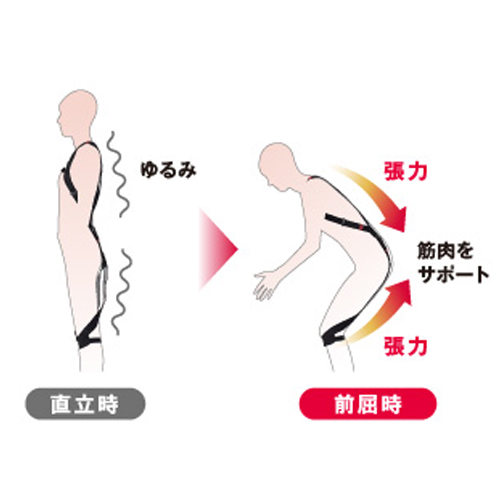 負担の大きな前屈姿勢時のみサポート力を発生