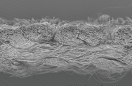 SEM（走査型電子顕微鏡）写真（側面）