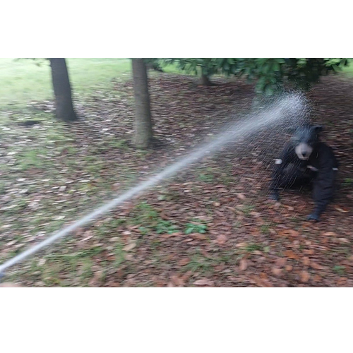 最大飛距離5mのジェット噴射