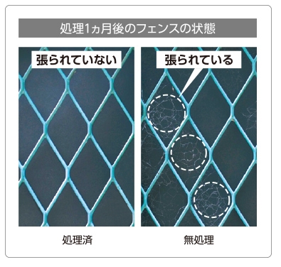造網阻止成分配合でクモに巣を張らせない