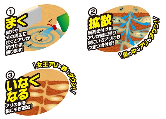 効きめの仕組み
